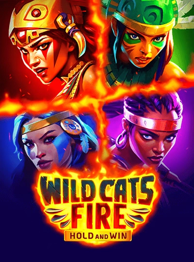Dragon Tiger live casino card game cover